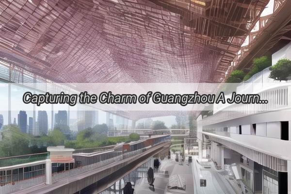 Capturing the Charm of Guangzhou A Journey with Han Style Photography